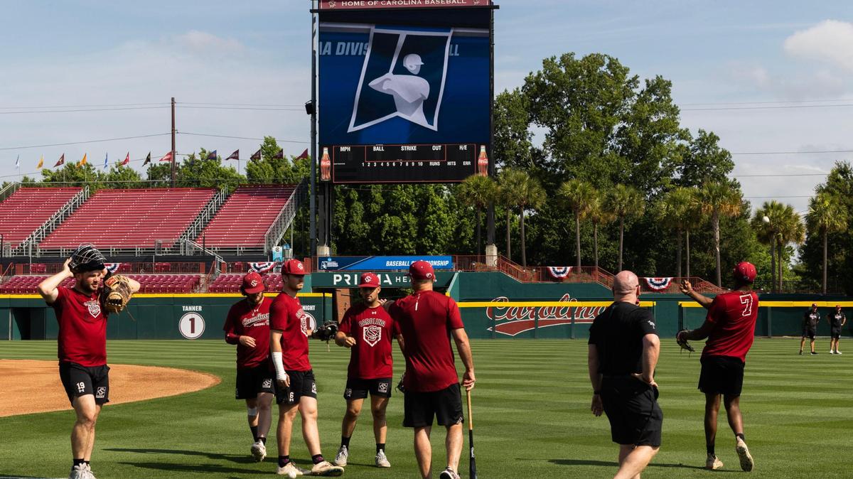 South Carolina practices baseball at Founders Park on Thursday, June 1, 2023.