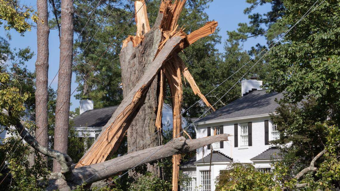 Large trees knocked down power lines along Devereaux Road in Columbia after strong winds and rain blew through from Hurricane Helene on Friday, Sept 27, 2024.