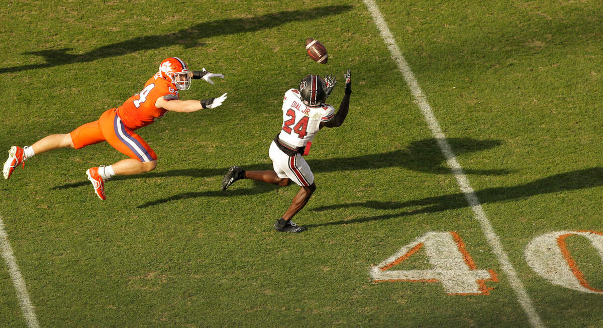 South Carolina defensive back Marcellas Dial (24) intercepts a pass in front of Clemson tight end Davis Allen (84) during fourth-quarter action in Clemson, S.C. on Saturday, Nov. 26, 2022.