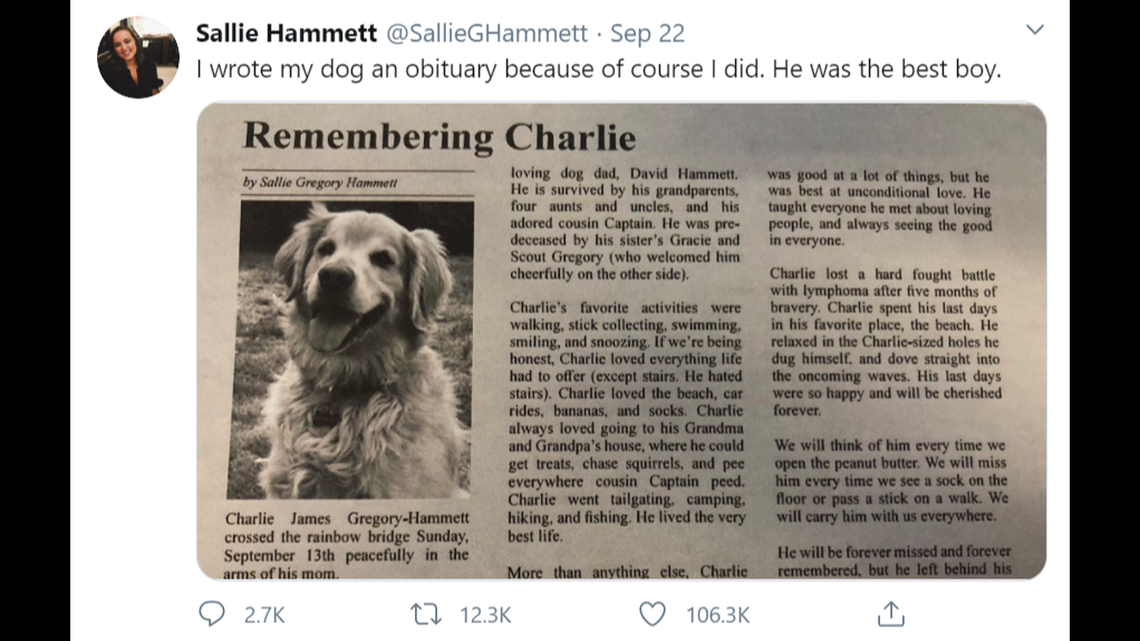 A tribute to Charlie the dog got thousands of reactions online.