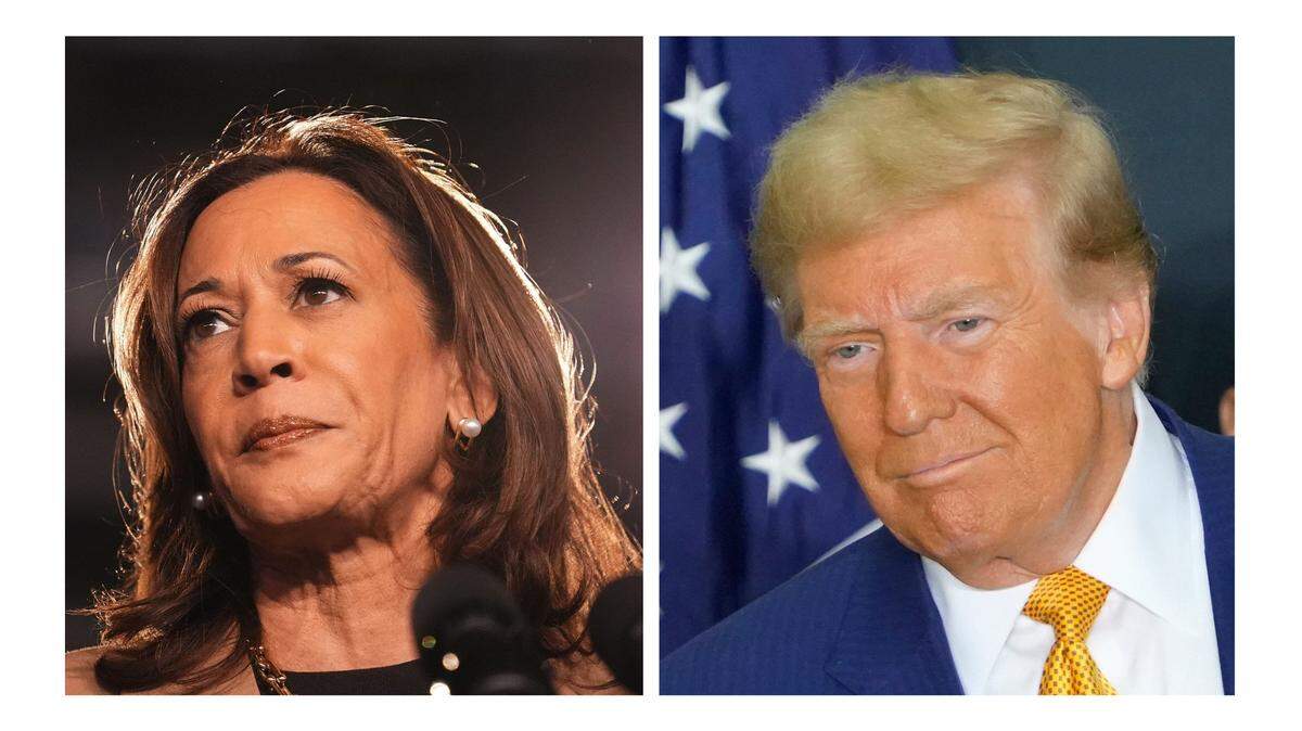 Vice President Kamala Harris and former President Donald Trump are running to be the next president of the United States.