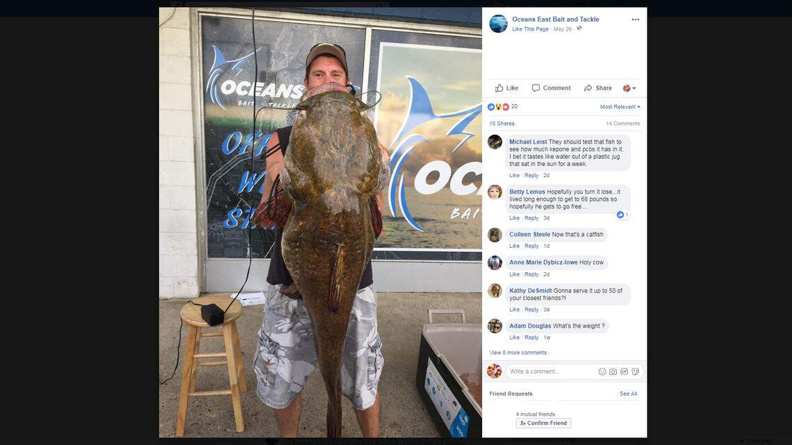 He reeled in a record-breaking ‘monster’ catch — nearly as big as him, official says