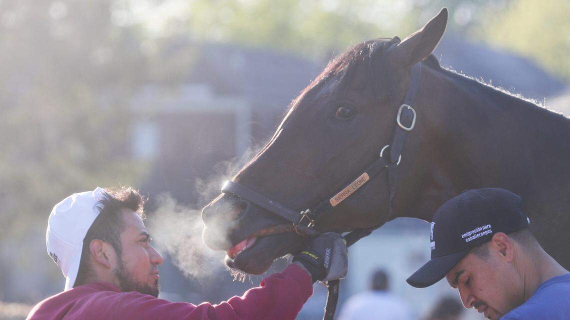 A Clemson win at the Kentucky Derby? This star horse bleeds orange