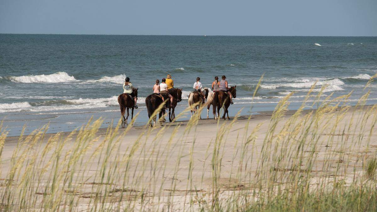 At Inlet Point Plantation visitors get the unique opportunity to ride on the beach at Waties Island, one of the few undeveloped maritime forests in Horry County. June 16, 2022.