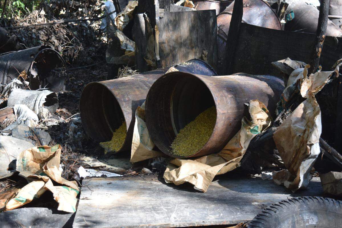 Deputies found barrels of mash, the ingredients for liquor, in some barrels, the sheriff said.