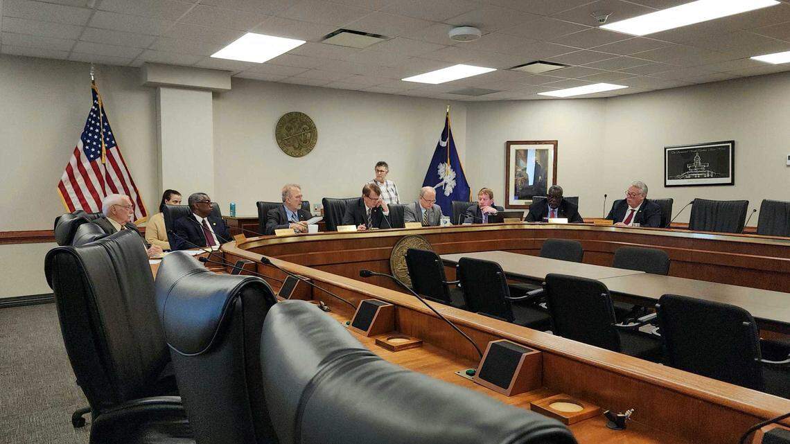 A S.C. Senate panel consider transgender-related bills on Wednesday, March 29, 2023.