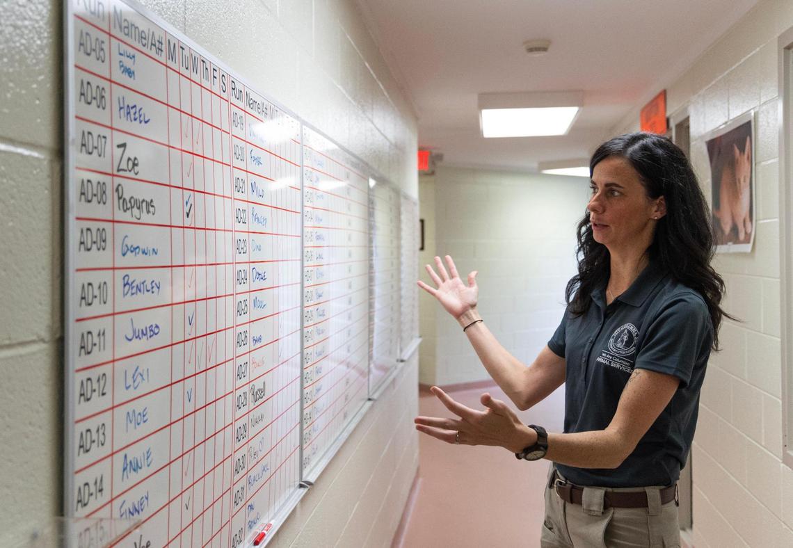 Superintendent Columbia Animal Services Victoria Riles shows organizational charts at the City of Columbia Animal Services building on Thursday, November 16, 2023.