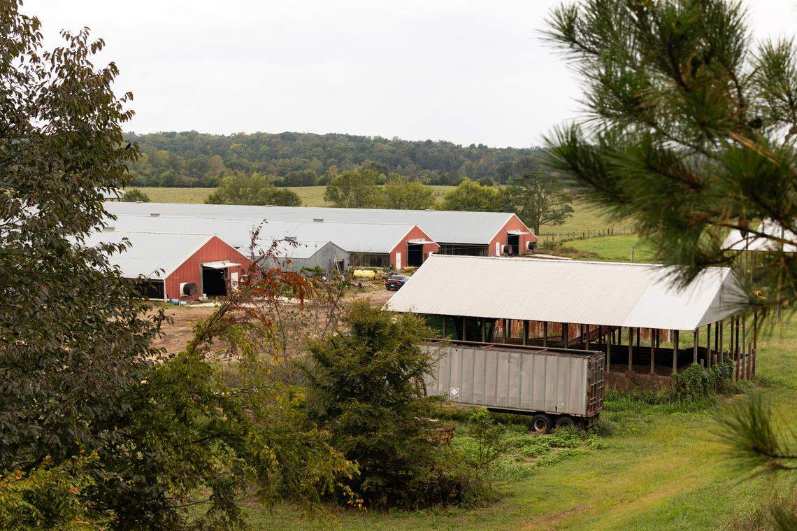 A chicken farm near Mountville, South Carolina in the Little River watershed on Wednesday, September 18, 2024.
