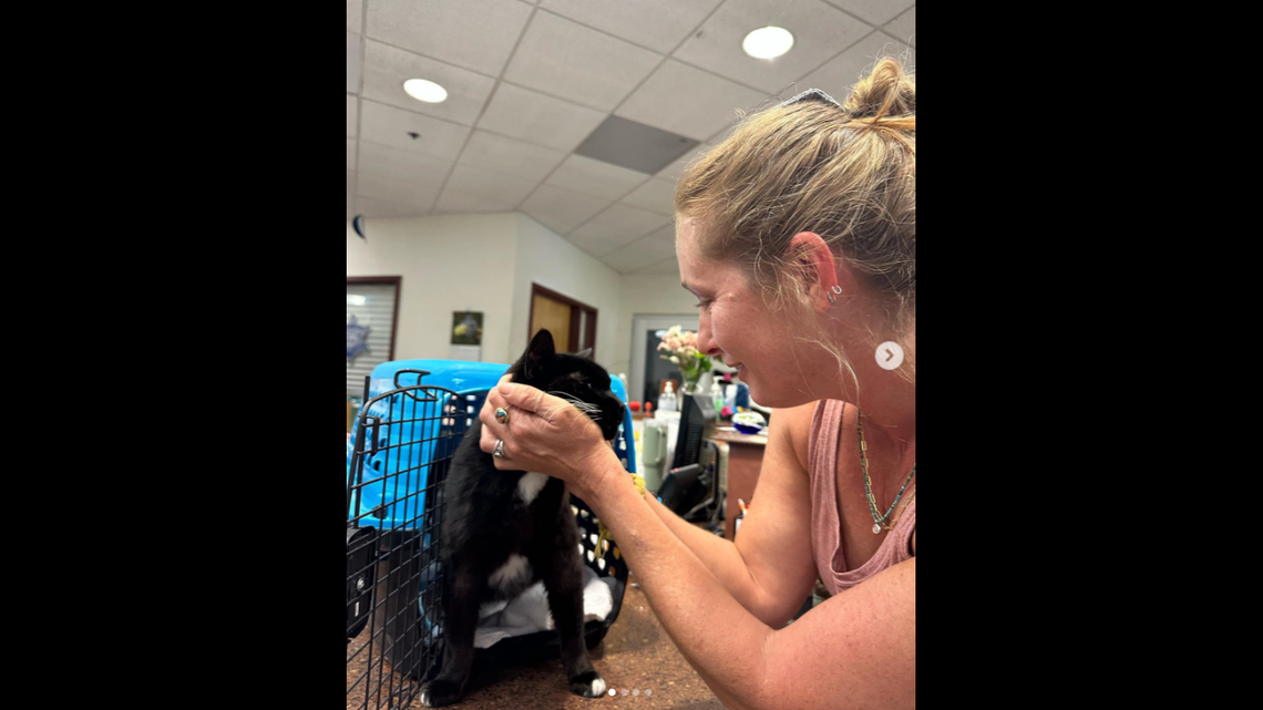 Mr. Mojo’s owner started crying when she learned her cat was found, officials said.