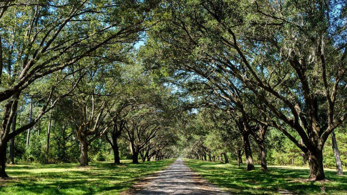 Hasty Point Plantation