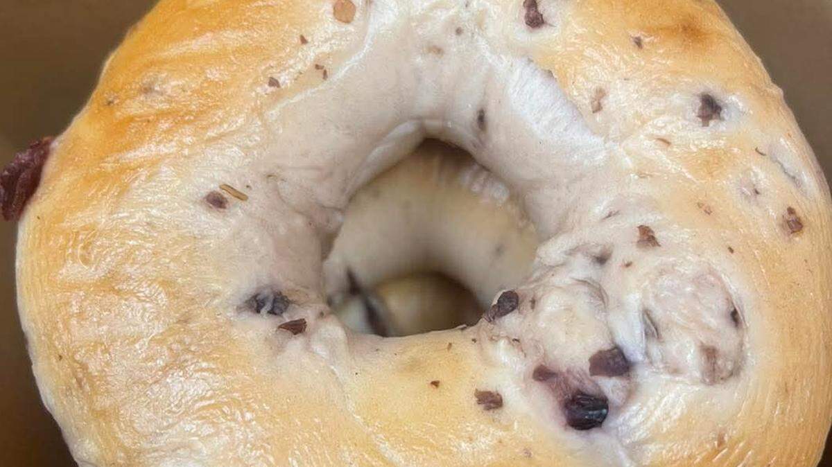 A bagel from Monster Bagels in Camden, SC.