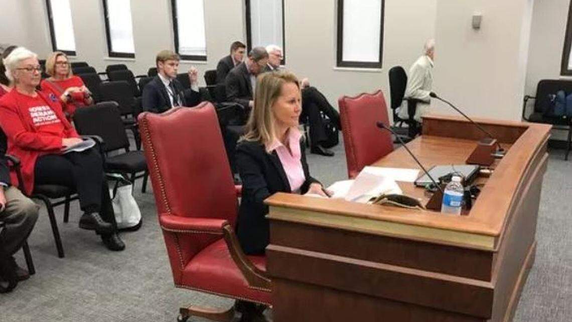 Sen. Sandy Senn, a Republican from Charleston, addresses a state Senate committee Thursday.