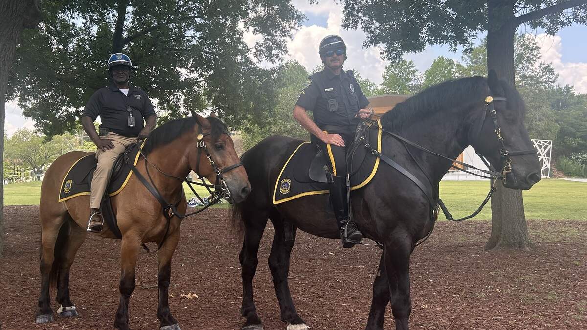 Two cops on horses.