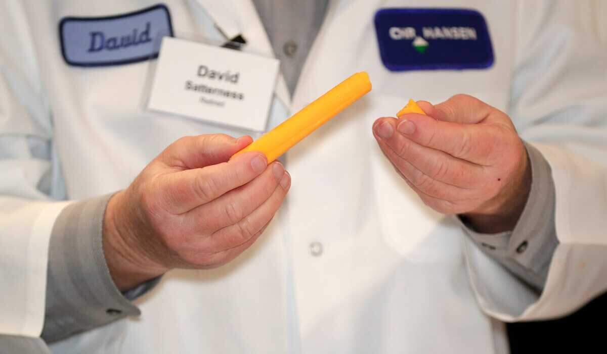 U.S. Championship Cheese Contest judge David Satterness evaluates a mild cheddar cheese entry during the first day of the event on March 4, 2025, at the Resch Expo in Ashwaubenon, Wis.