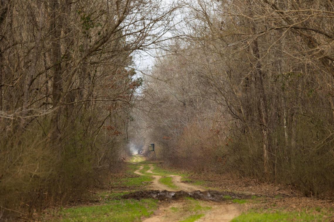 The site of a wetland restoration project around Mills Creek in Richland County on Thursday, February 22, 2024. This project will offset the wetlands lost to developing the new Scout Motors electric vehicle plant.