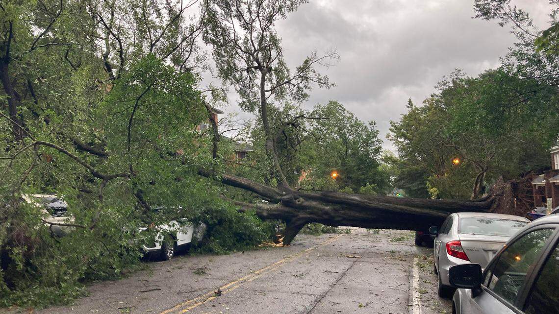 Want to see the SC roads closed because of Helene? Check out this interactive map