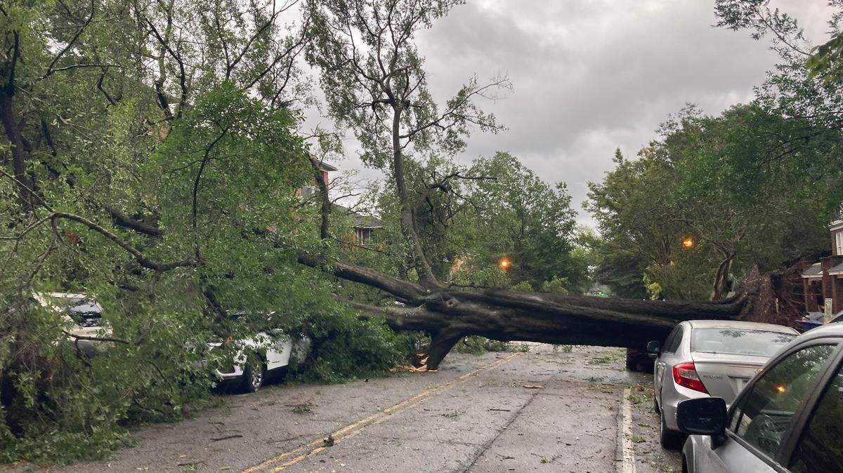 Want to see the SC roads closed because of Helene? Check out this interactive map