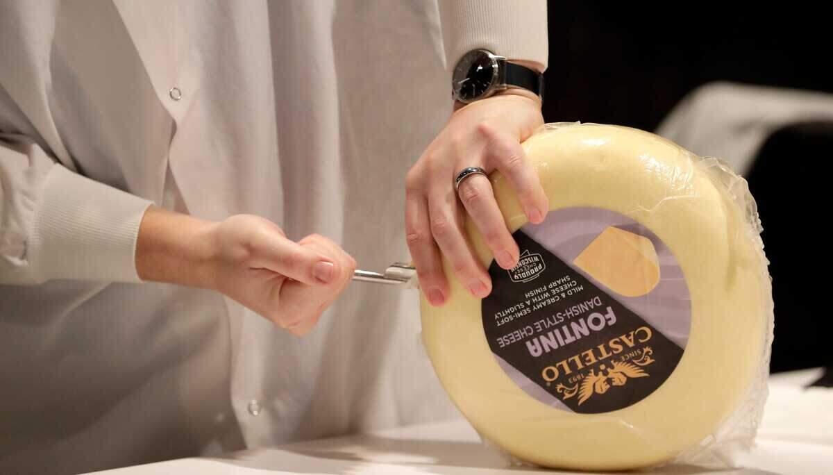 A U.S. Championship Cheese Contest judge takes a sample of an entry to evaluate during the first day of the event on March 4, 2025, at the Resch Expo in Ashwaubenon, Wis.
