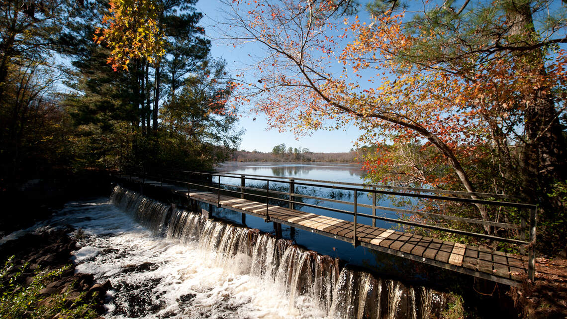 Historic, wildlife-rich plantation near Columbia targeted for state protection
