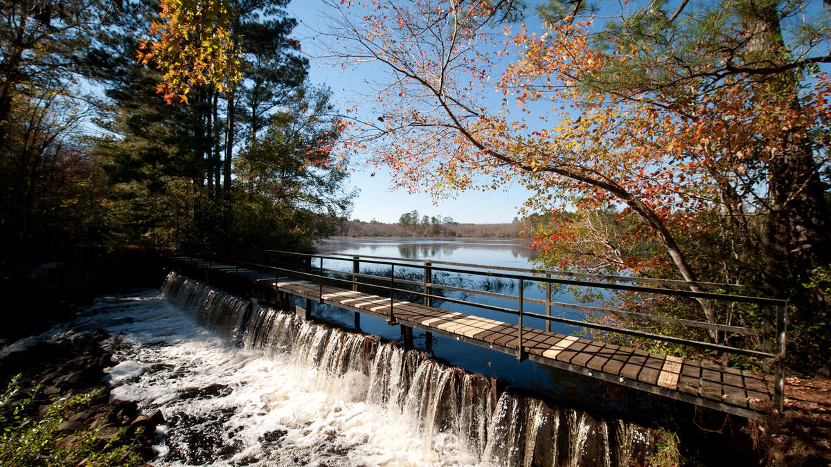 In the late 1700s and early 1800s water from the mill pond on Goodwill Plantation was diverted through a series of slave-constructed dykes in order to flood the plantation's rice fields. (photo from November 2013)