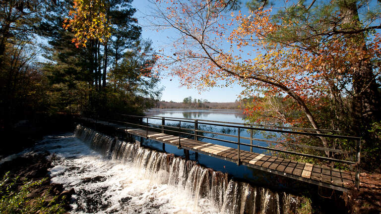 Historic, wildlife-rich plantation near Columbia targeted for state protection
