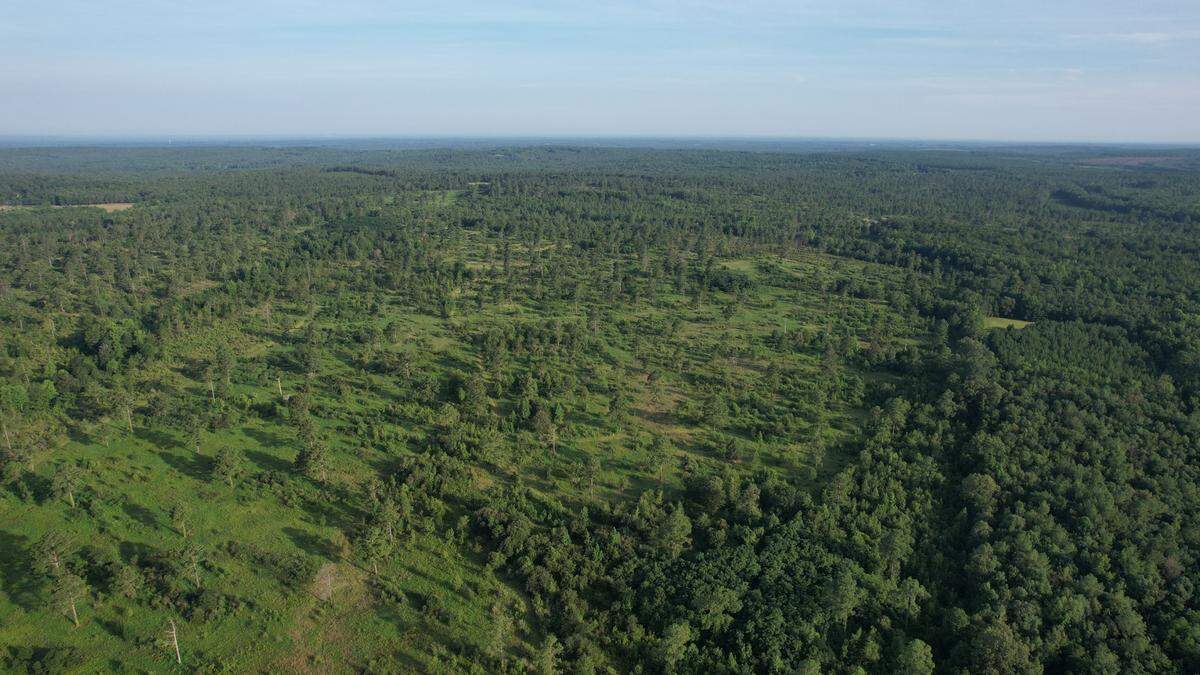 This area will become the BobWhite Hills hunting preserve. It will be open to the public at certain times of the year.