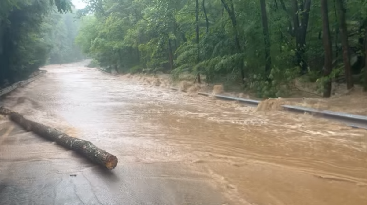 Screengrab from Upper Makefield Township Police Department video on Facebook