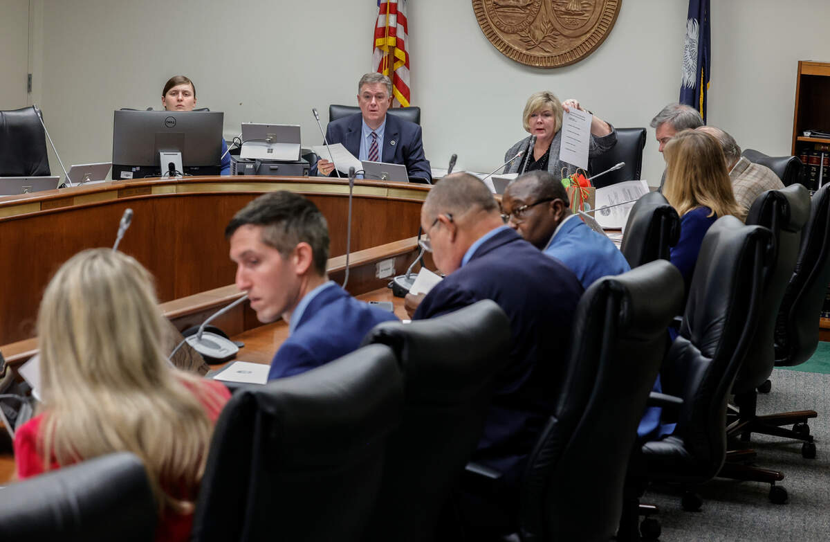 S.C. Rep. Shannon Erickson, R-Beaufort presides over the Education Committee after being elected chairman on Wednesday, Dec. 7, 2022.