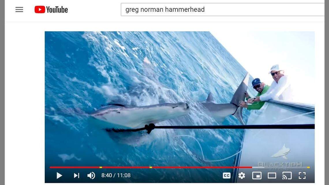 Golf legend Greg Norman, nicknamed "The Shark," caught a massive hammerhead shark on a recent fishing expedition.