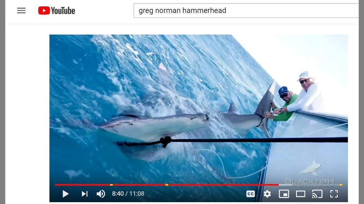 Golf legend Greg Norman, nicknamed "The Shark," caught a massive hammerhead shark on a recent fishing expedition.