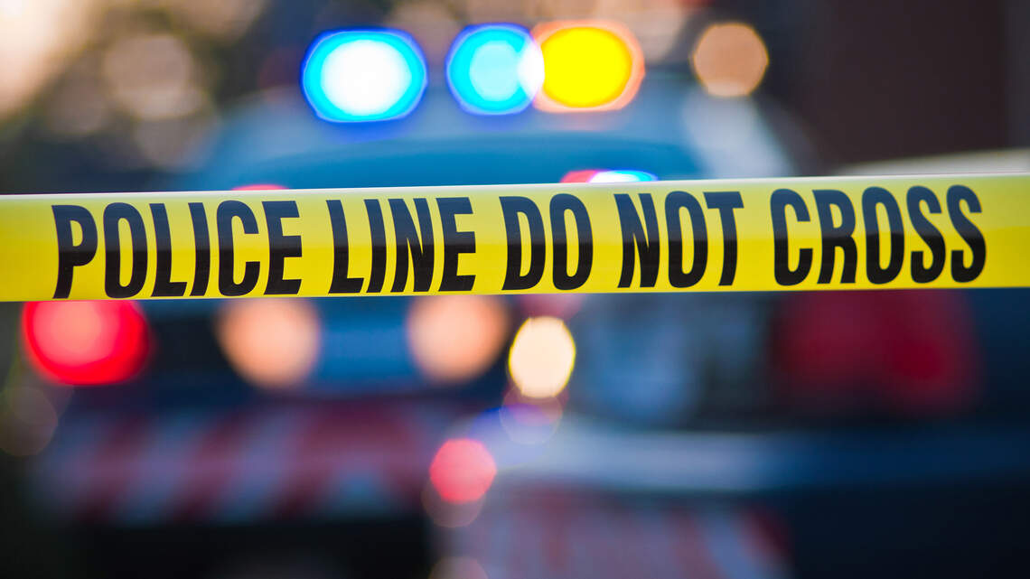Dog digs up human bone in his yard, and it leads searchers to more bones, SC cops say