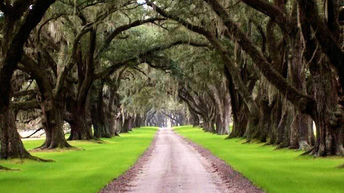 The property includes an “avenue of oaks” planted in 1820.