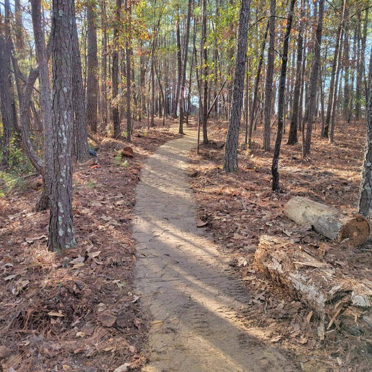A section of the Palmetto Trail near Columbia. The hiking path will eventually provide a continuous hiking route from the southern Appalachians to the Atlantic Ocean in South Carolina.