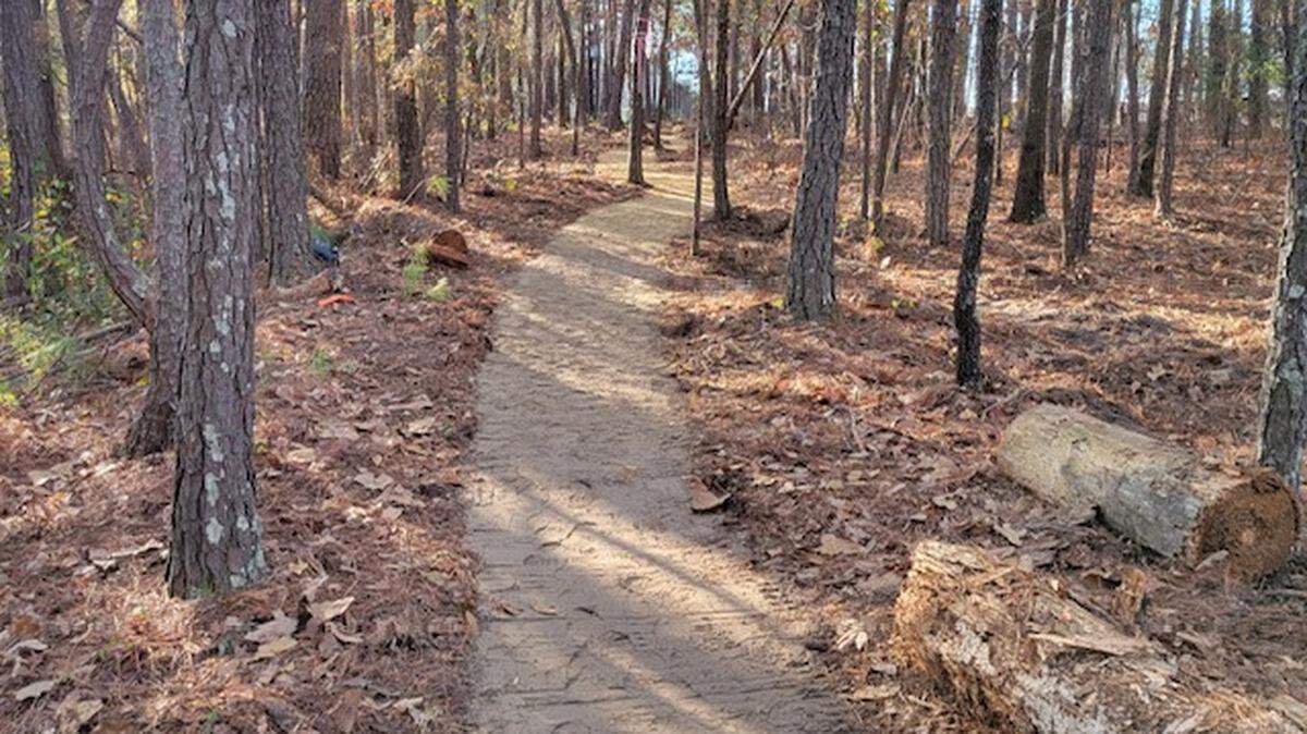 A section of the Palmetto Trail near Columbia. The hiking path will eventually provide a continuous hiking route from the southern Appalachians to the Atlantic Ocean in South Carolina.
