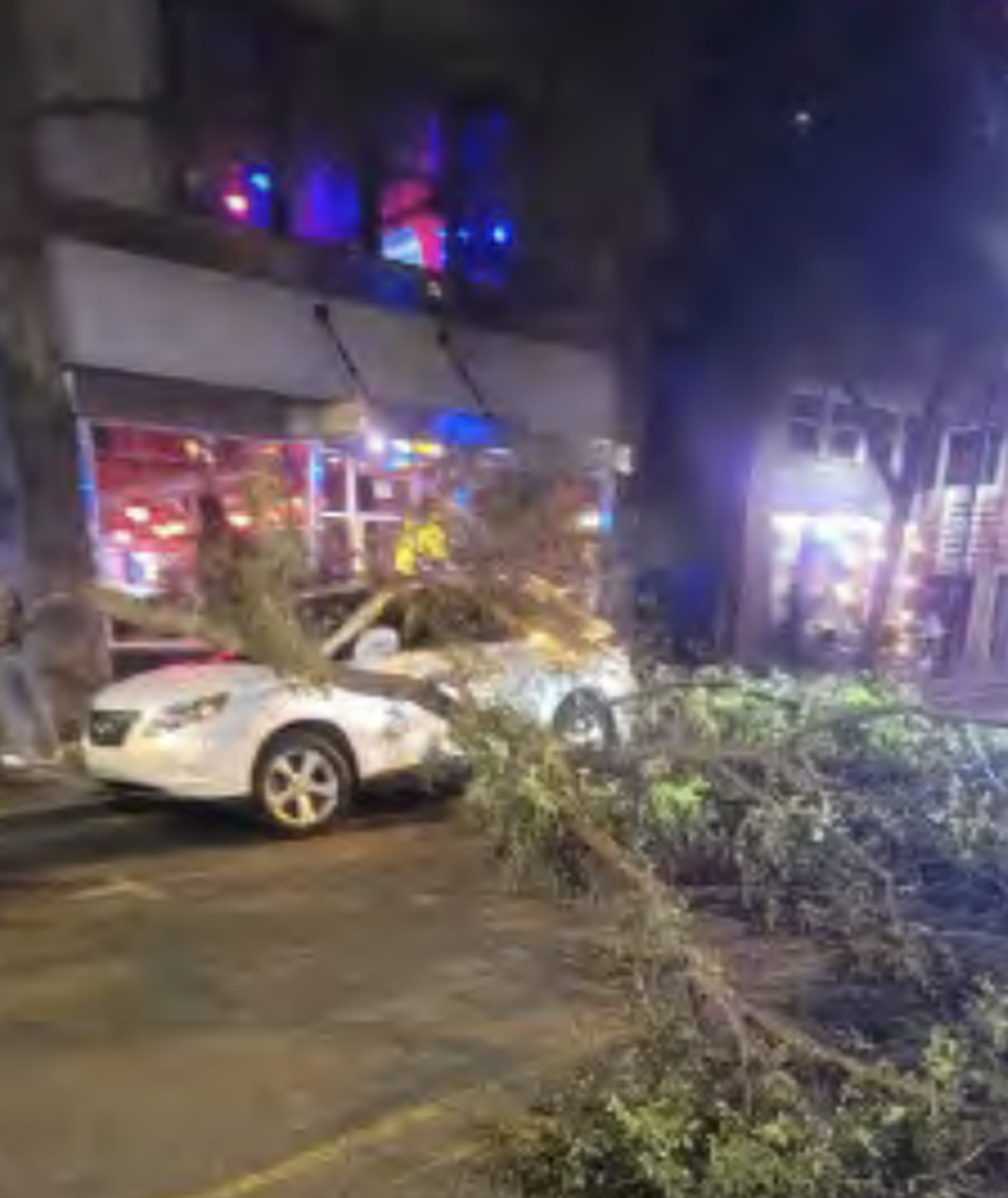 Dozens of trees fell in downtown Greenville during Helene.