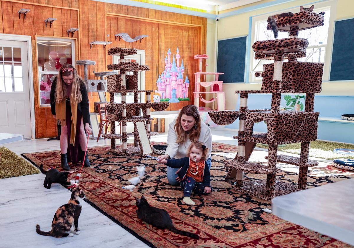 Birdie Bockman, 2, her mother Caitlin Bockman and Manager Kat Hartley, left, play with cats at, Cat Daddy’s Cat Café. The cats were adopted by Mohammad Saadeddin and Melissa Peterson who rescued them in the neighborhood.The cats reside at the cafe where patrons can enjoy their company.