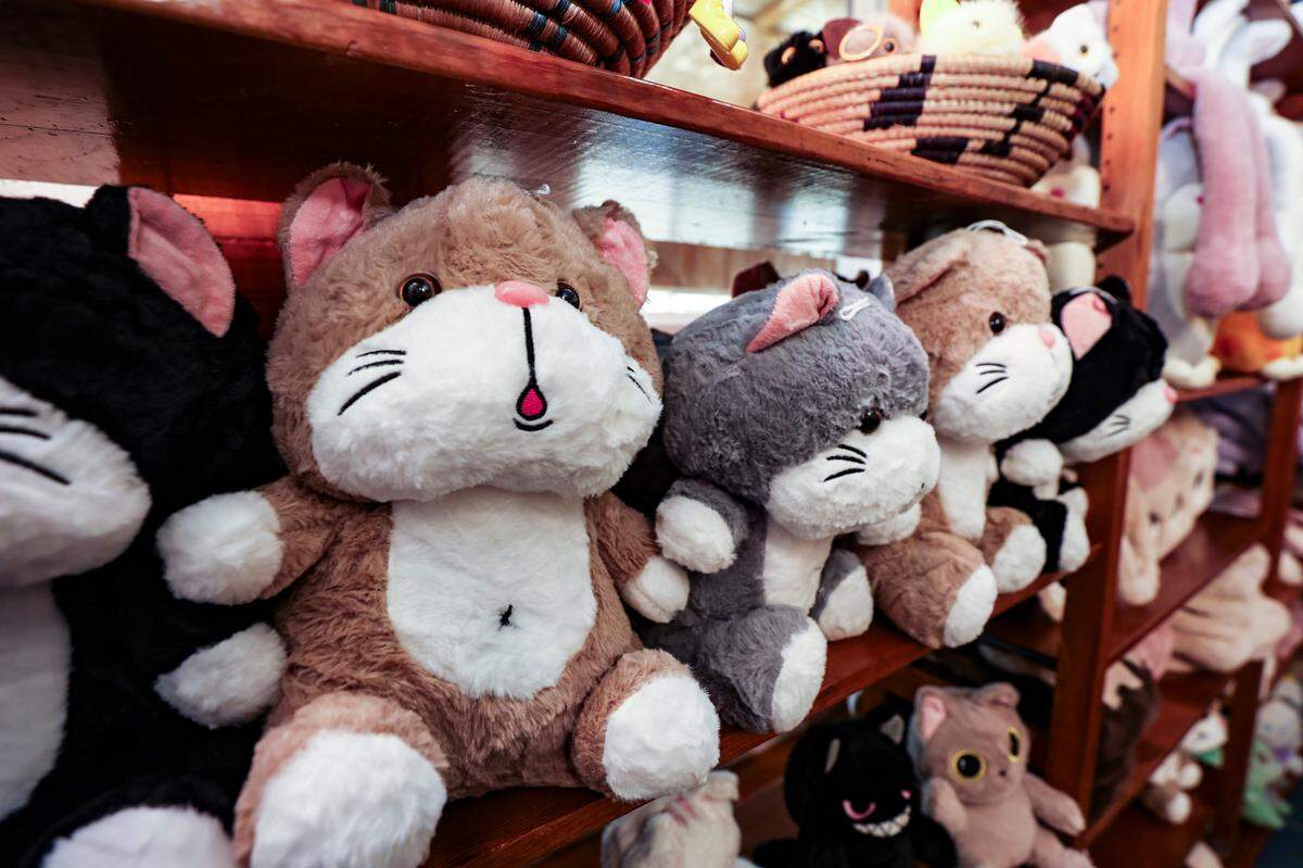 Plush cat themed toys are for sale at Cat Daddy’s Cat Café.
