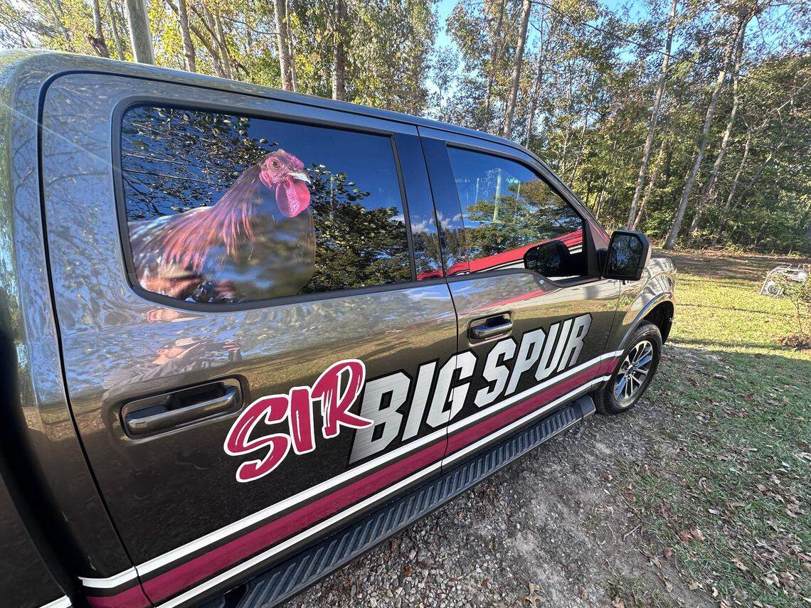 The decked-out Ford 150 that Sir Big Spur rides in.