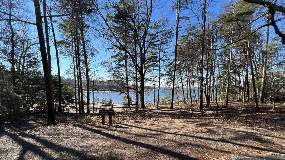 Four people were found after their boat sank in “freezing” waters near a South Carolina state park on Saturday morning, the Anderson County Sheriff’s Office announced.