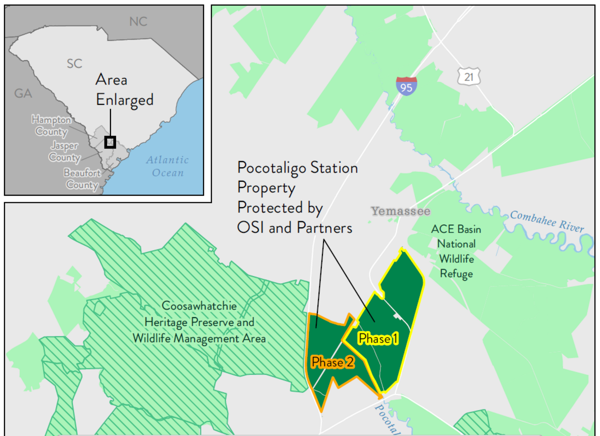 Land being protected in South Carolina’s Lowcountry. It will eventually become a state-owned forest.
