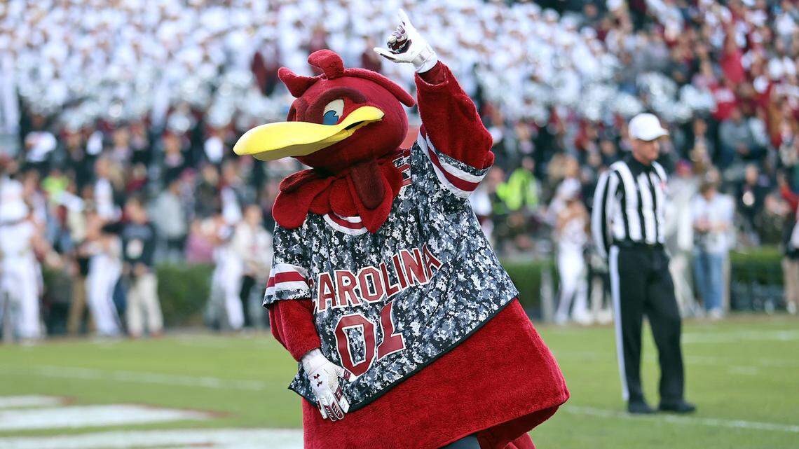 South Carolina mascot Cocky during Saturday’s game against Wofford at Williams-Brice Stadium.