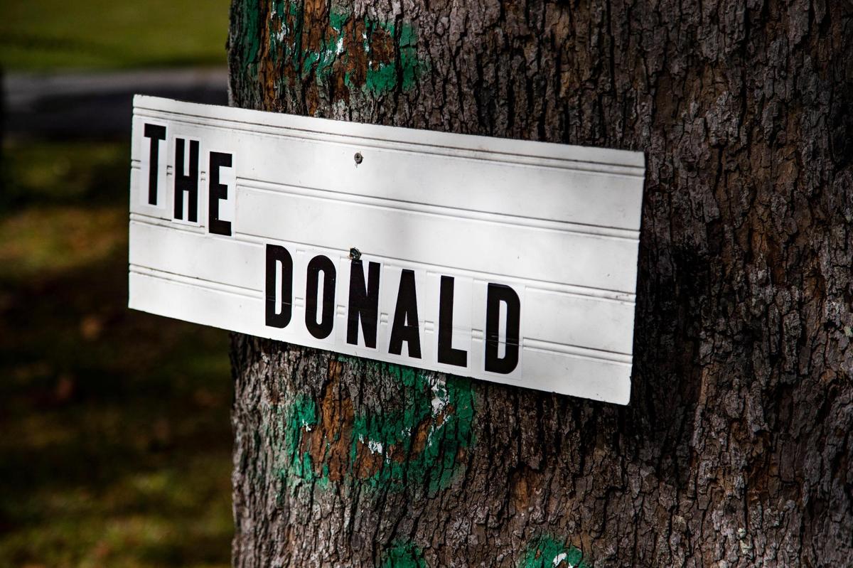 Raymond Doniphan’s homemade sign supporting President Donald Trump drilled into a tree in his front yard on Friday, October 23, 2020. Earlier Doniphan spray painted “LSU” on the tree to thank the university for beating Clemson University in the College Football Playoff National Championship.