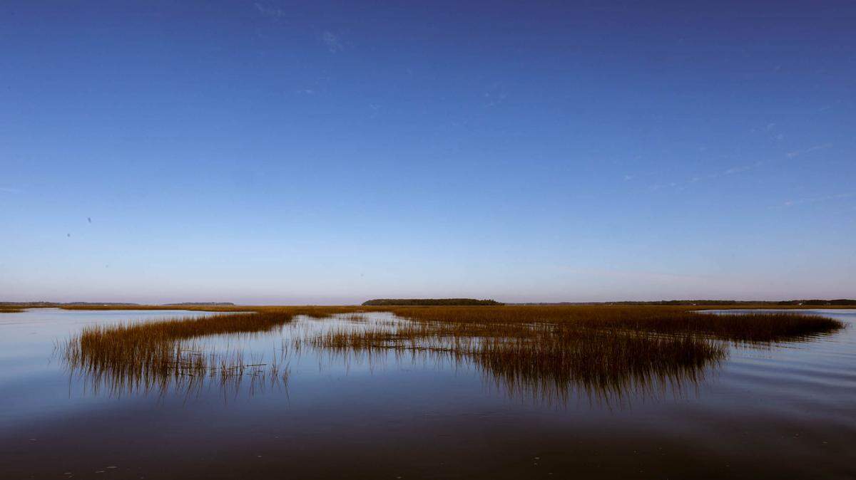 Horseshoe crab harvesters can collect crabs from most places in the ACE Basin, like North Fenwick Island, pictured here. Only Otter Island, Ashe Island, Beet Island, Warren Island and Big Island are listed as off-limits on their harvesting permits.