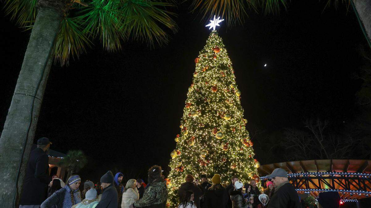 A Christmas tree lights up the sky at Lexington’s Icehouse Amphitheater after Lexington’s Carolighting Ceremony at the Icehouse Amphitheater on Friday Dec. 6, 2024.