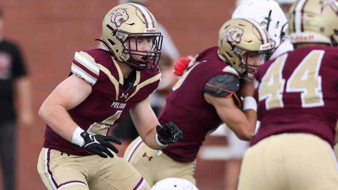 Former Ninety-Six coach picked to lead Pelion High football program