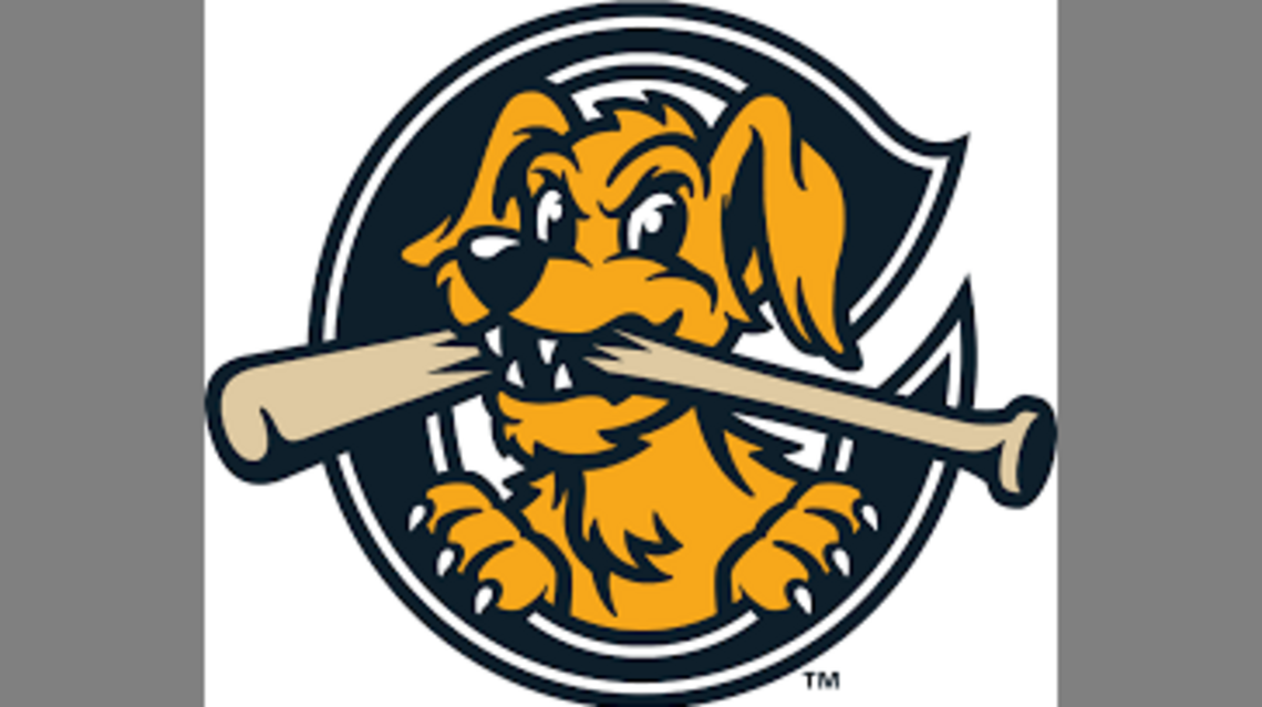 ‘Perfectly mediocre’? SC baseball team gives free tickets to kids with Cs on report card