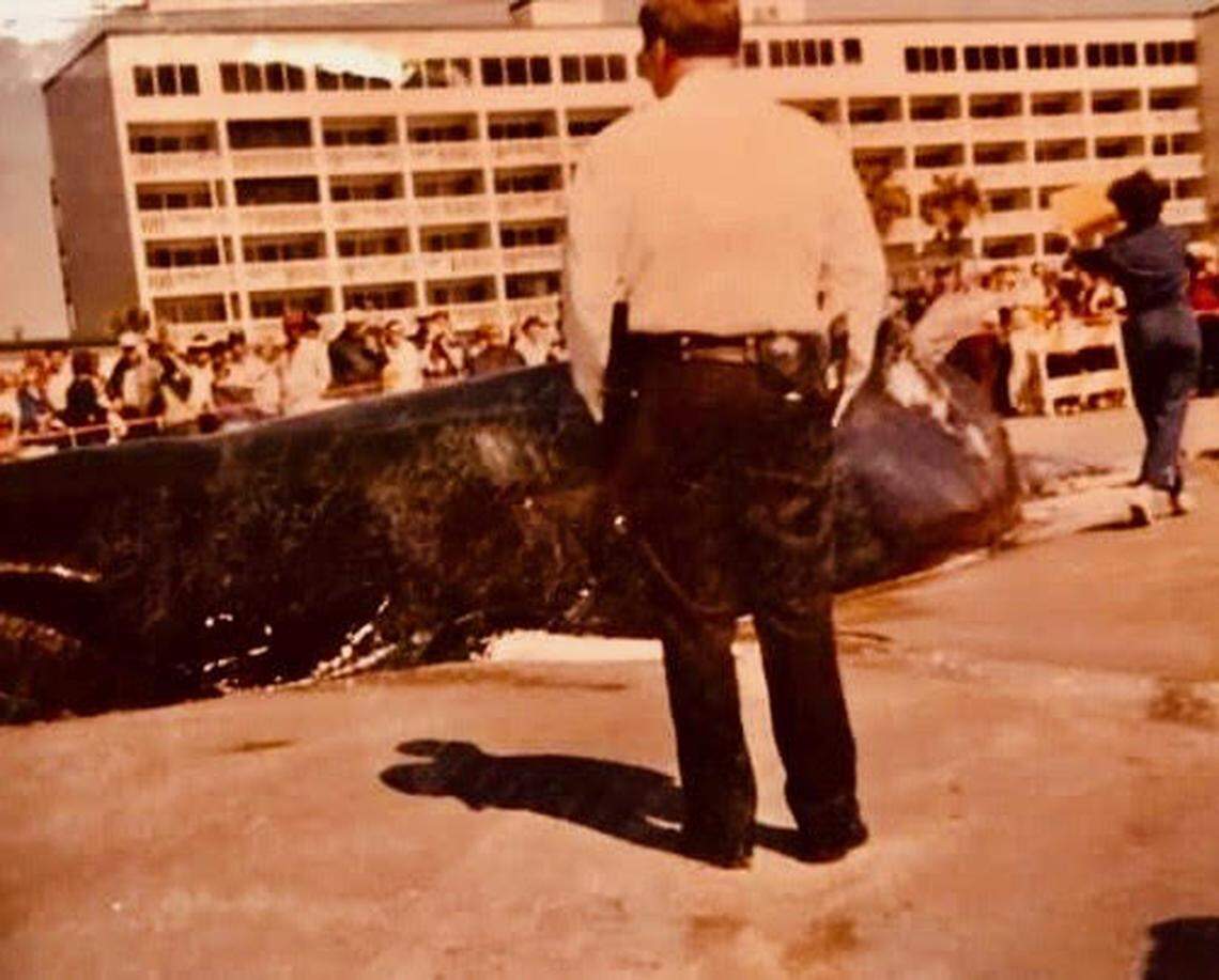 North Myrtle Beach police officer Fred Morris, foreground, was tasked with controlling crowds the weekend of March 7, 1986, when a whale washed up on the beach. The humpback eventually died.