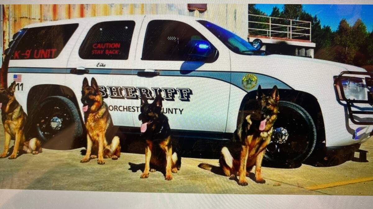 Dorchester County police dogs
