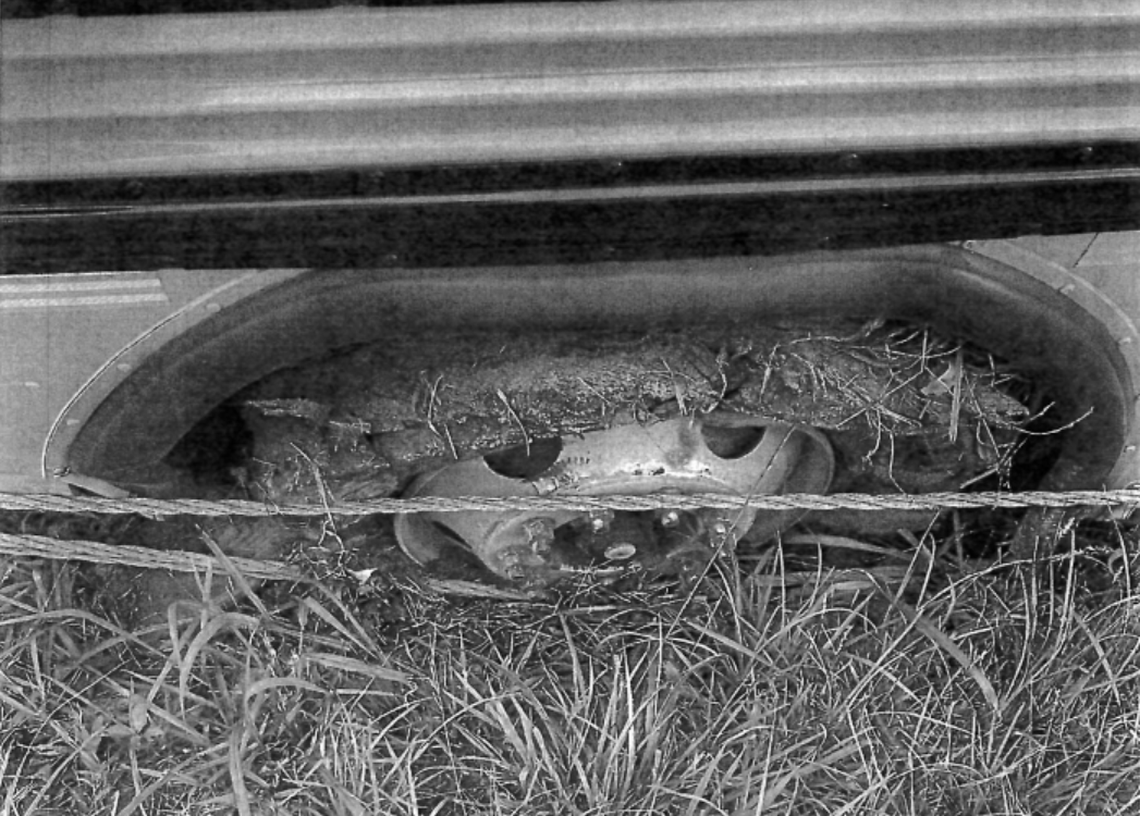 Damage to the tire of a Lexington 2 school bus after a blowout on Interstate 26 in 2023. The same bus was later involved in another fatal accident when a different tire blew on the interstate.