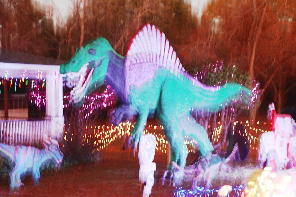 Christopher Price shows dinosaurs he made out of insulation foam outside his home on Wednesday, December 11, 2024. The dinosaurs are visible from Augusta Road in Lexington, South Carolina